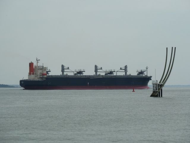 Anemona - estuaire de la Loire - 15 avril 2011 (2).JPG